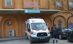 Mardin'de hafif ticari aracın çarptığı yaya ağır yaralandı