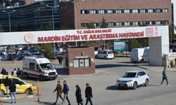 Mardin'de otomobilin çarptığı yaya öldü