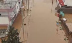 Mardin'de sağanak; dereler taştı, evler ile tarım arazilerini su bastı (3)