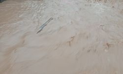 Mardin'de sağanak; dereler taştı, evler ile tarım arazilerini su bastı