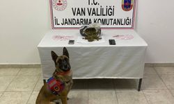 Mezarlık yakınında 1 kilo skunk ele geçirildi