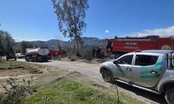 Osmaniye'de orman yangını (2)