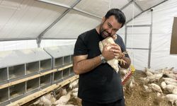 Otomobilini satıp hayali olan tavuk çiftliğini kurdu