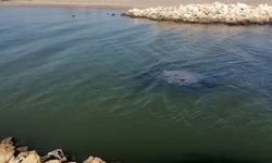 'Sahilkondu' ve barakalara yıkım süreci; lağımları nehri ve denizi kirletiyor