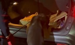 Sakarya'da dur ihtarına uymayan cipten 33 bin 400 sentetik ecza ele geçirildi