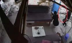 Şarkıcı Metin Işık'ın cezası kesinleşti; cezaevine teslim oldu