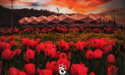 Spor dünyasından Ramazan Bayramı mesajları