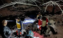 Trabzon'da uçuruma yuvarlanan otomobilin sürücüsü öldü