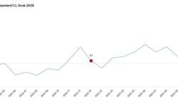 TÜİK: Sanayi üretimi ocakta azaldı