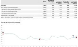 TÜİK: Tarım üretici fiyatları şubatta arttı