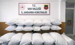 Van'da 3 milyon 150 bin TL değerinde kaçak gıda ele geçirildi
