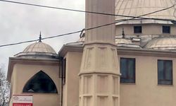 Yaban hayatı gözlemcisinden leyleğin bozulan yuvası için çağrı (2)