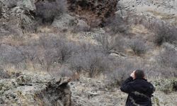 Yaralı dağ keçisini görüntüleyen aile hekimi: Tetiğe değil, deklanşöre basalım