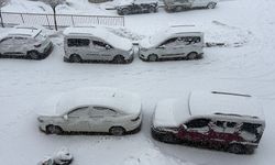 Yüksekova'da kar yağışı etkili oldu