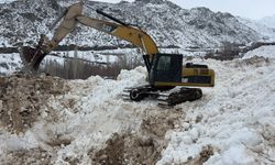 Yüksekova'da köye düşen çığ korkuya neden oldu