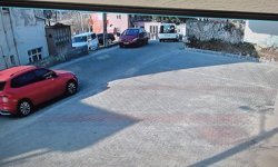 11 yıldır yurt dışında baktıkları köpekleri Zonguldak'ta otomobil çarpması ile öldü; mezar yaptırdılar