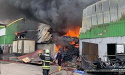 Adana'da geri dönüşüm tesisinde yangın / Ek fotoğraflar