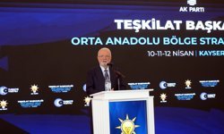 AK Parti'li Elitaş: Özgür Bey vesayet altında