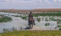 Akşehir Gölü, 8 yıllık kuraklık sonrası canlanıyor