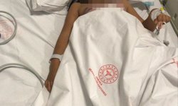 Ankara'da 2 kardeşi yaralayan pitbullun sahibinin annesi hakkında suç duyurusu kararı