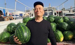 Antalya'da sezonun ilk erkenci karpuzu kilosu 40 liraya alıcı buldu