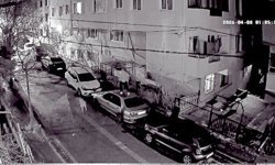 Avcılar'da kendisini kovalayan köpeklerden araçların üzerine çıkarak kaçtı