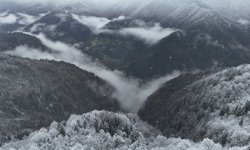 Ayder Yaylası'nda kar kalınlığı 20 santimetreye ulaştı