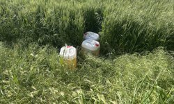 Aydın'da 10 göçmen kaçakçılığı şüphelisi yakalandı