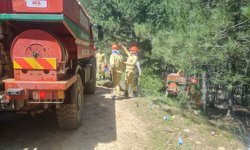 Aydın'da 7 dekar orman yandı