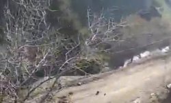 Bahçesaray'da mahalle yoluna inen heyelan kamerada