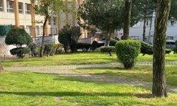 Bayrampaşa'da sopalarla çocuk darbeden 2 şüpheli tutuklandı