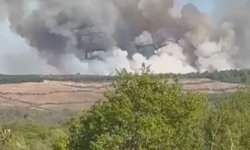 Beykoz'da orman yangını -2 / Ek görüntü