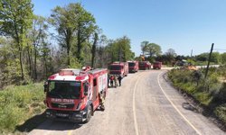 Beykoz'da orman yangını; zarar gören alan havadan görüntülendi
