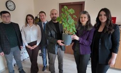 Bitkilerden elektrik üretildi; Bolu ve Ankara'dan ekip biyopil geliştirdi