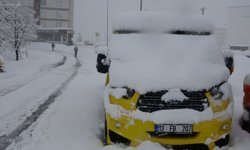 Bitlis'te 111 köy yolu kardan kapandı