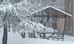 Bitlis'te kar yağışı