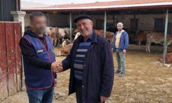 Çobanları hamama götürüp, 5 milyon lira değerindeki büyükbaşları çaldılar