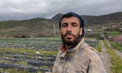 Coğrafi işaretli Sason çileğinde hasat mayısa kaldı