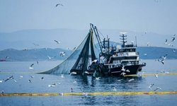 Denizlerde av yasağı 15 Nisan'da başlıyor