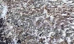 Edirne'de dolu yağışı; ilçe beyaza büründü