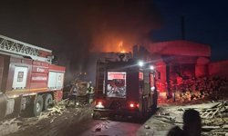 Edirne'de kereste fabrikasında yangın (2)