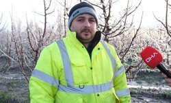 Elma üreticisi, zirai dona karşı 'Spring' yöntemini uyguladı