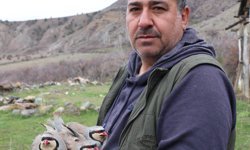 Erzurum Oltu'da 350 kınalı keklik halkalandı