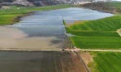 Gaziantep'te su altında kalan ekili tarım arazilerinde tahliye çalışmaları