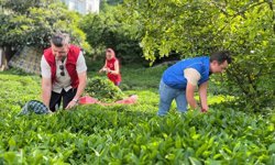 Gönüllü Hasat Etkinliği 2026 takvimi açıklandı