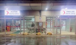 Gülistan Doku soruşturmasında gözaltına alınan 2 hastane görevlisi, adliyeye sevk edildi