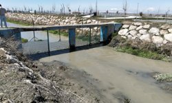 İnci kefalinin göç yolunda 2 ton atık temizlendi