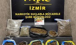İzmir'de 16,5 kilo skunk ele geçirildi
