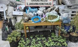 Kaçak elektrik kullanılarak uyuşturucu üretilen eve operasyon