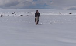 Karla kaplı tarlaya yonca ekti